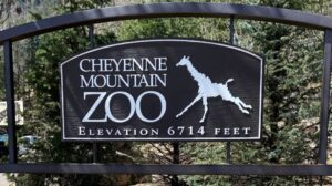 How We Planned for and Enjoyed our Day at Cheyenne Mountain Zoo